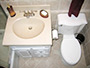 Vanity area
